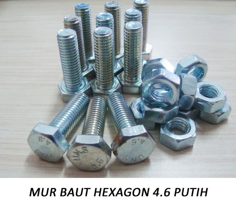 Jual mur baut surabaya | dynabolt, hexa ss304, baut roofing 1 Mur baut hexa grade 4. 6 finishing electro galvanized putih